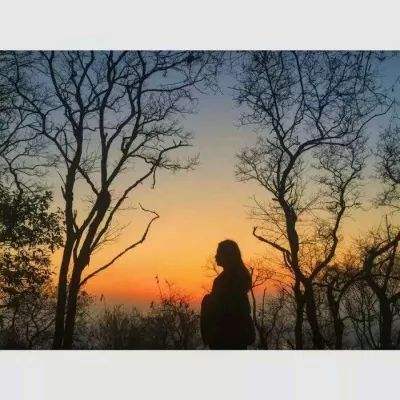 极速赛车社区合作平台