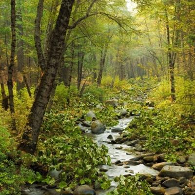 极速赛车社区合作平台