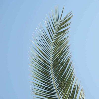 星空app官方下载最新版本