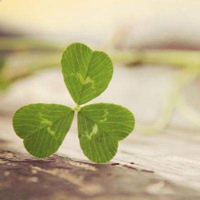 澳门新葡萄新京8883app下载