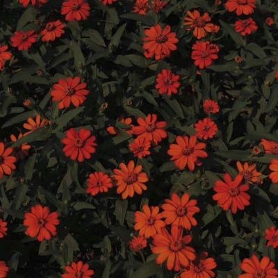 hth·华体育官方入口