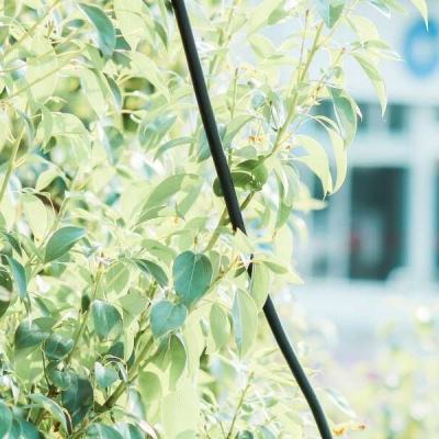 49图库资料免费大全资料澳门app下载